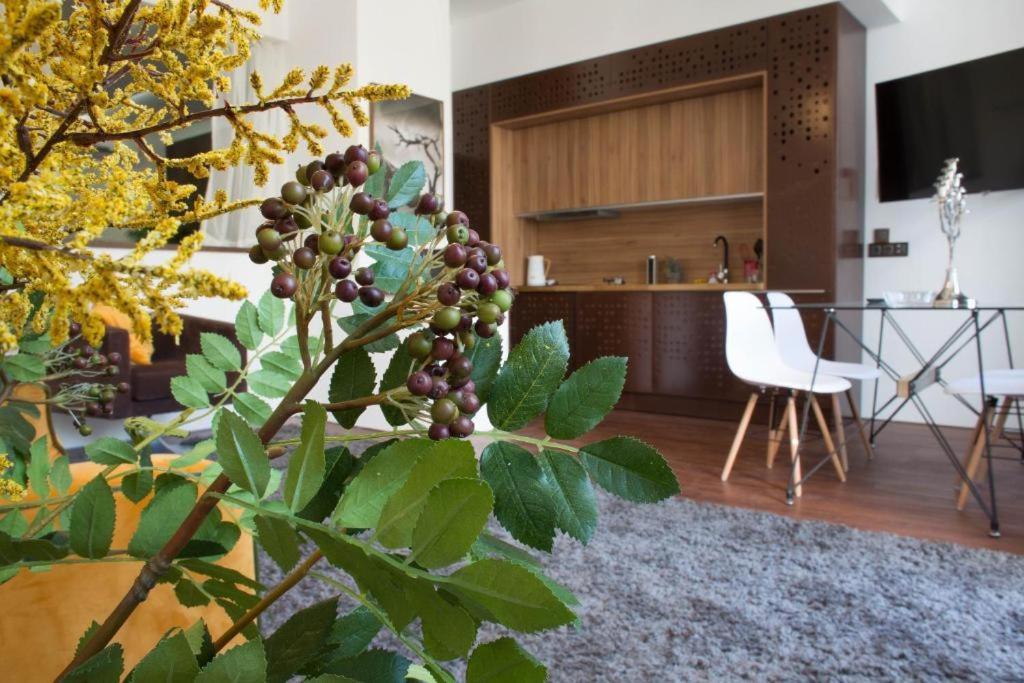 Madeira Loft I - City Center Funchal  Buitenkant foto